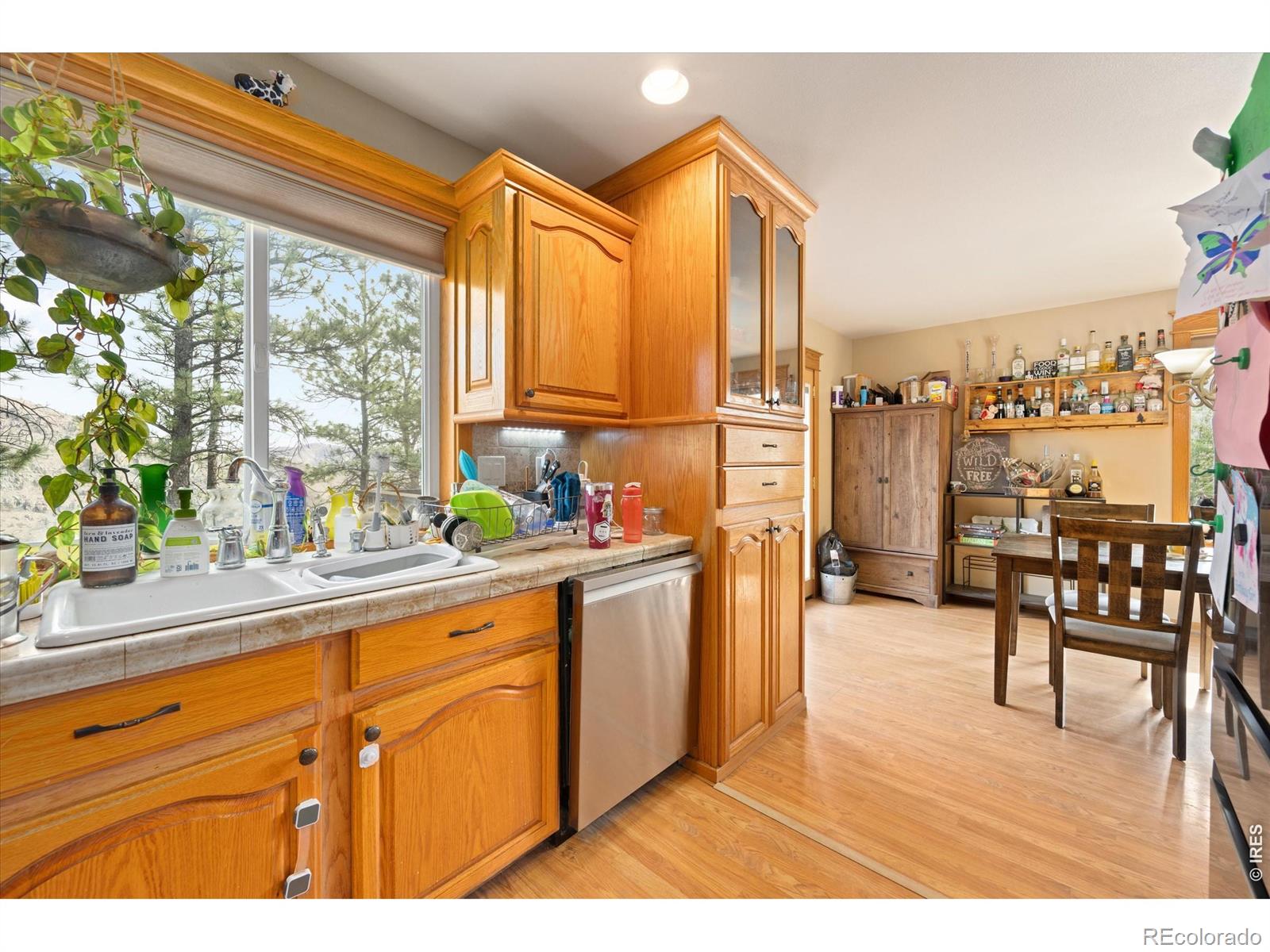 842 Unger Mountain Road Bellvue CO 80512