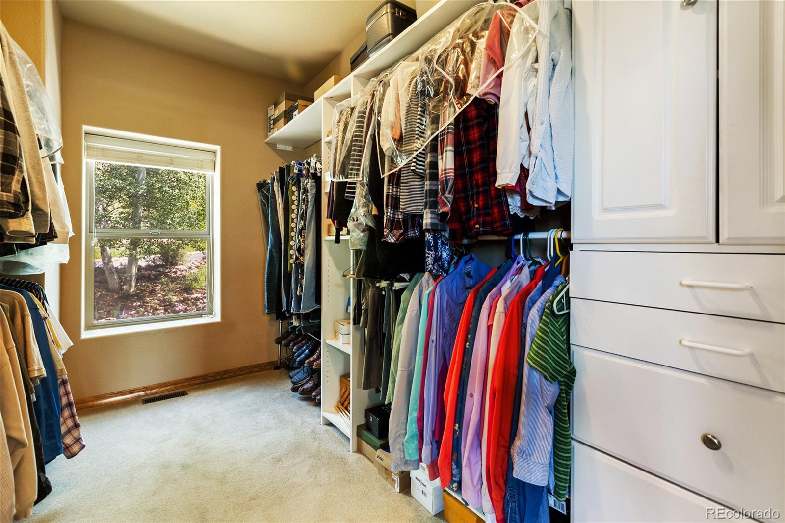 1530 Masters Drive Woodland Park CO 80863