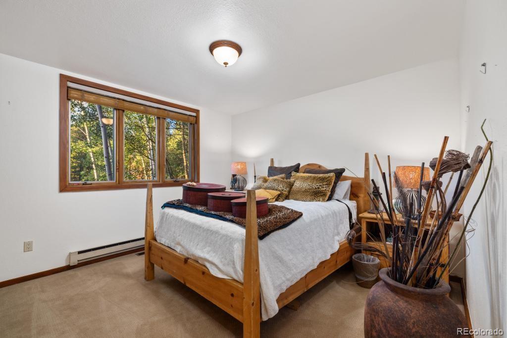 82 Lenawee Lane Dillon CO 80435