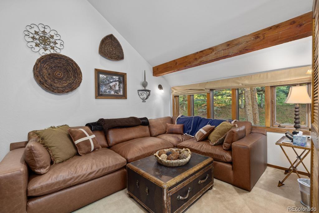 82 Lenawee Lane Dillon CO 80435