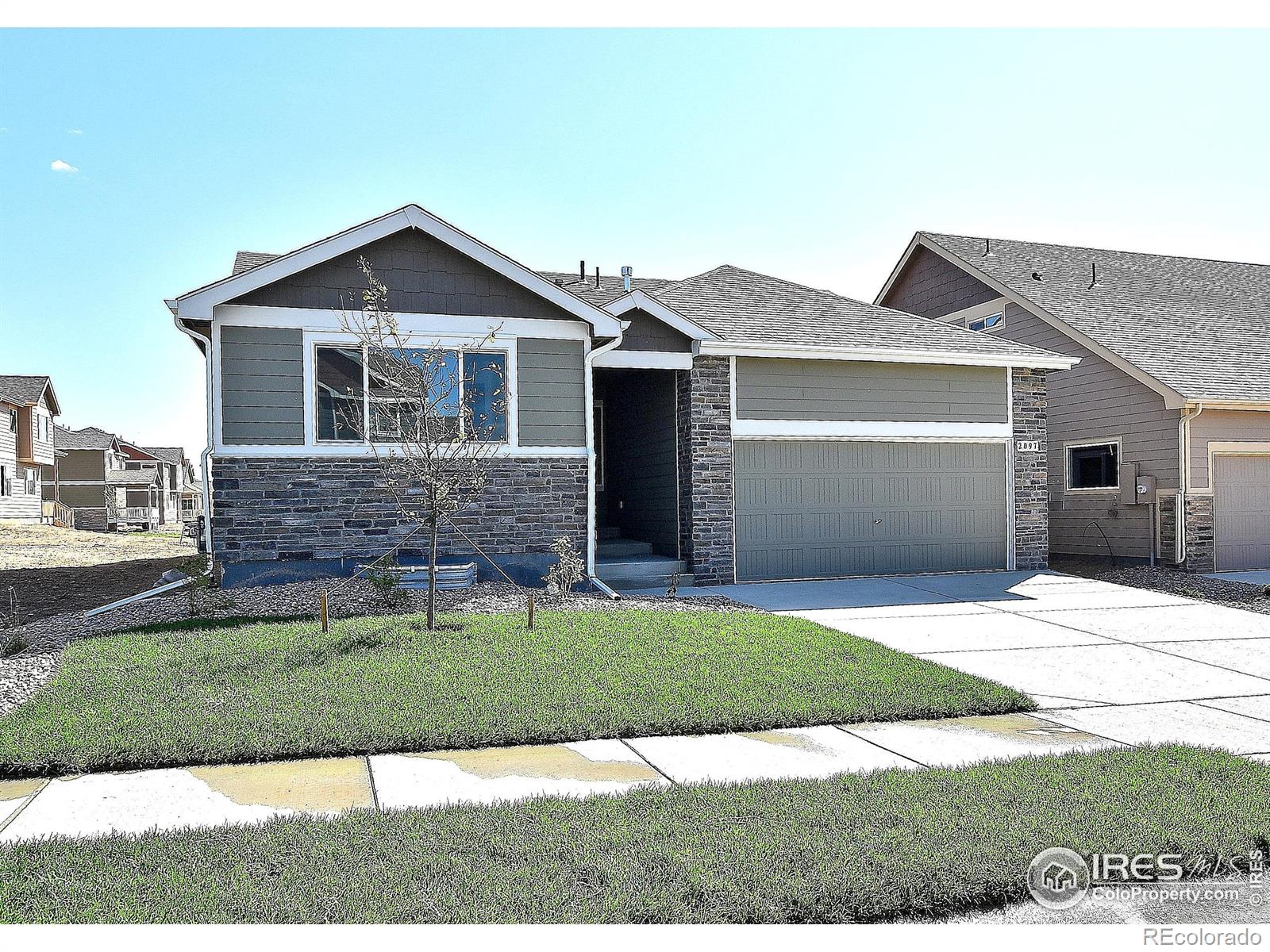 2373 Jasmine Lane Johnstown CO 80534