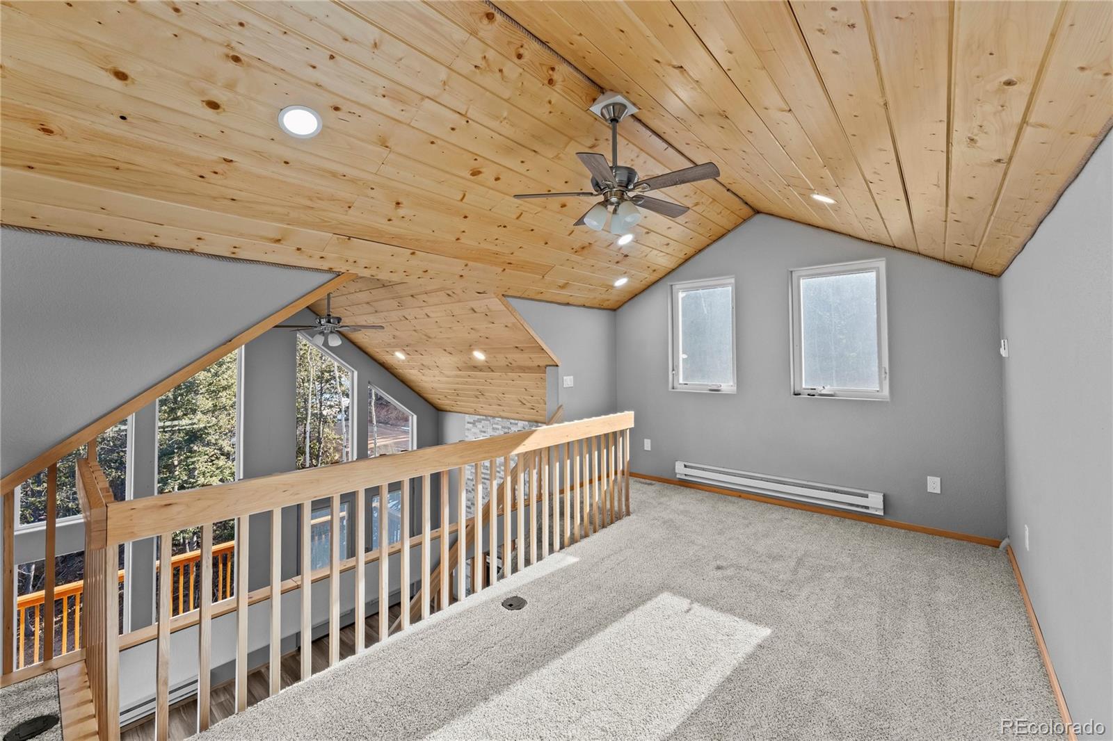 63 Iowa Lane Woodland Park CO 80863