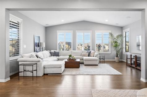 769 Winding Pine Lane Highlands Ranch CO 80126
