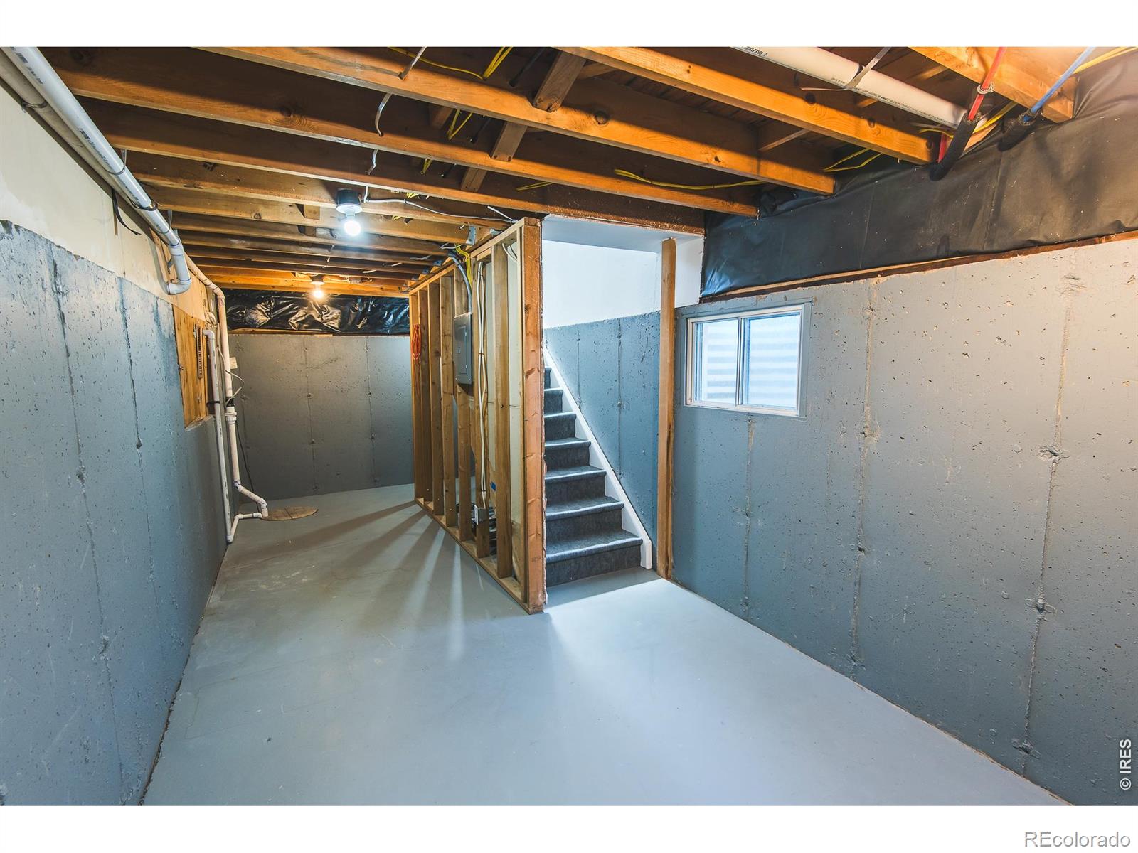 1013 Jennifer Drive Loveland CO 80537
