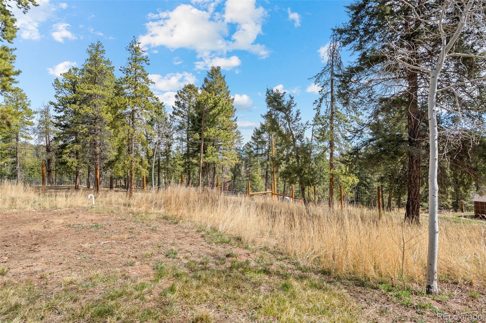 12159 Circle Drive Conifer CO 80433