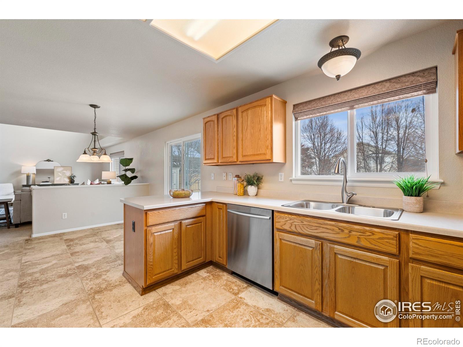 13966 Forest Street Thornton CO 80602