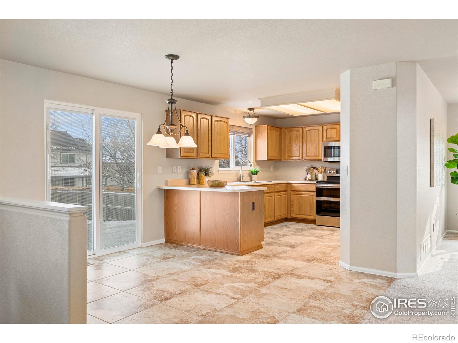 13966 Forest Street Thornton CO 80602