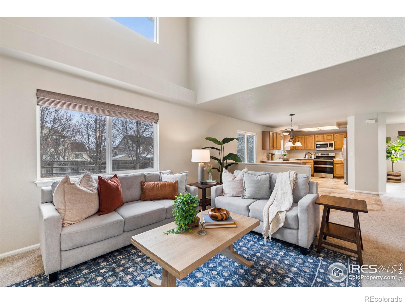 13966 Forest Street Thornton CO 80602