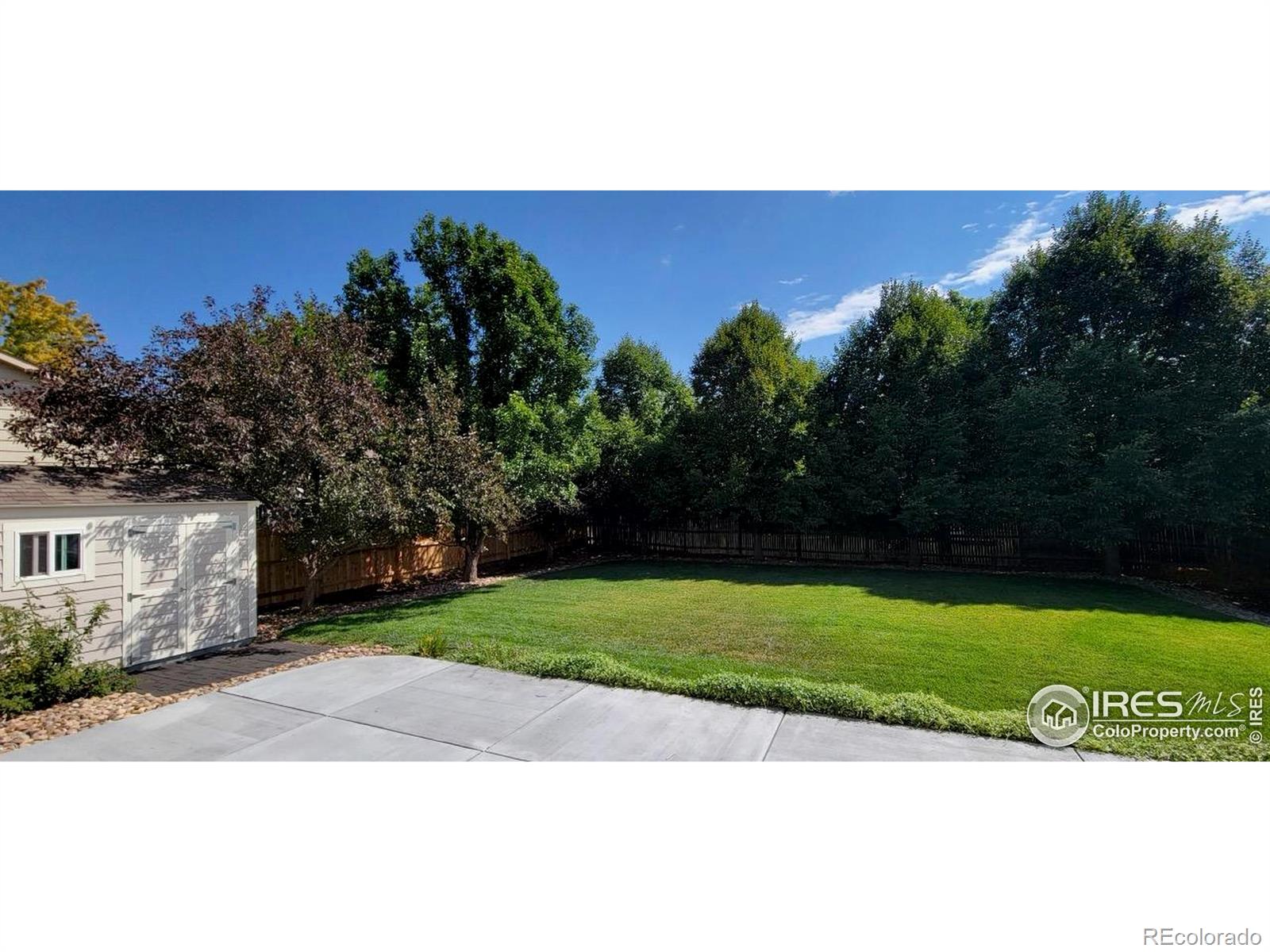 13966 Forest Street Thornton CO 80602