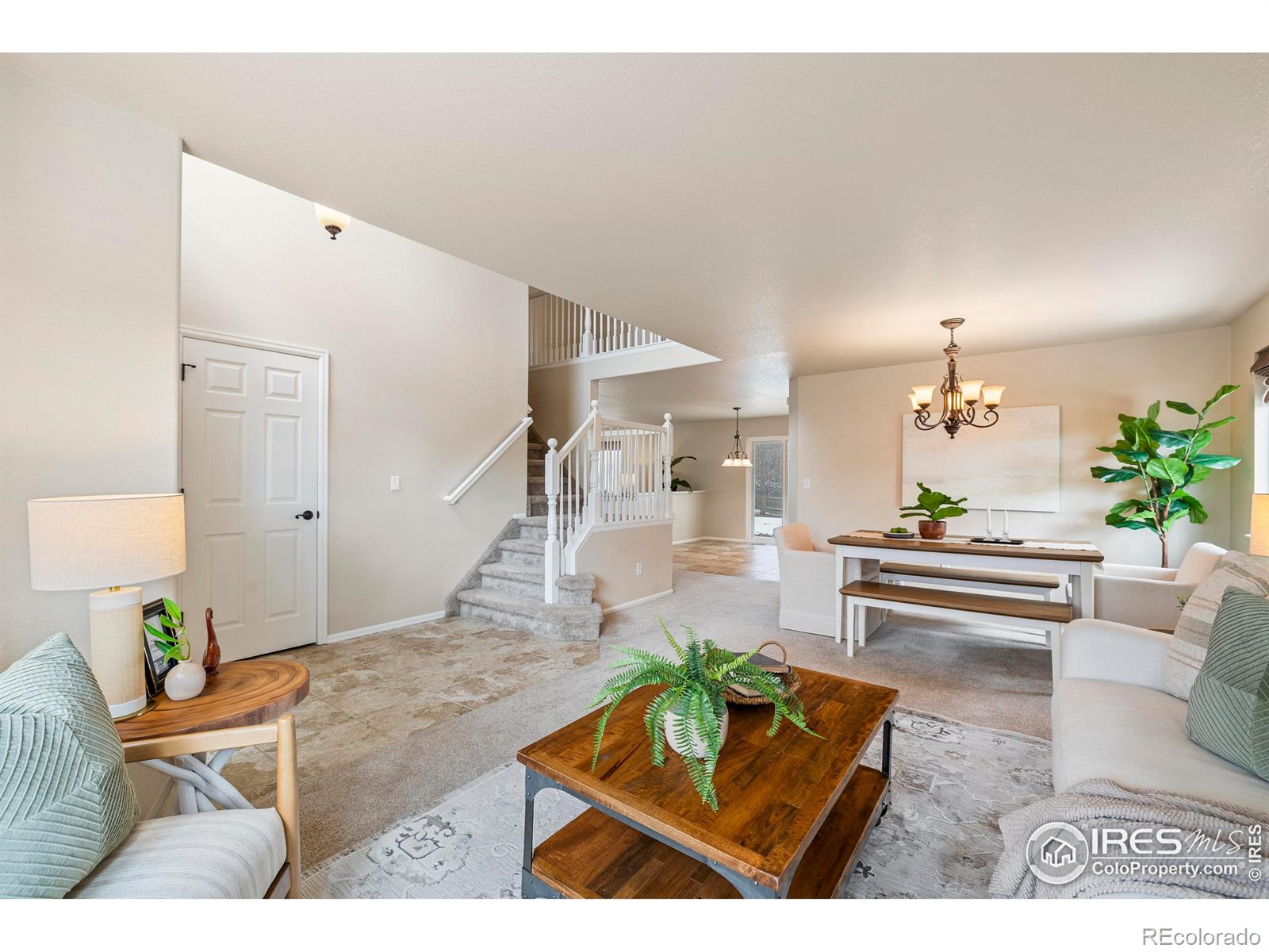 13966 Forest Street Thornton CO 80602