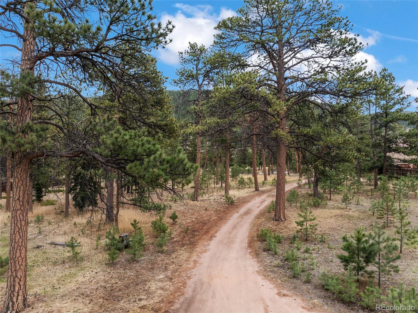 1100 Rampart Range Road Woodland Park CO 80863