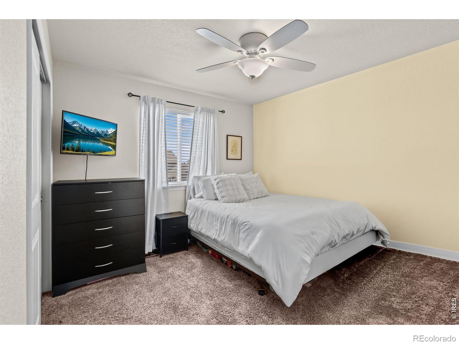 5599 Clarence Drive Windsor CO 80550