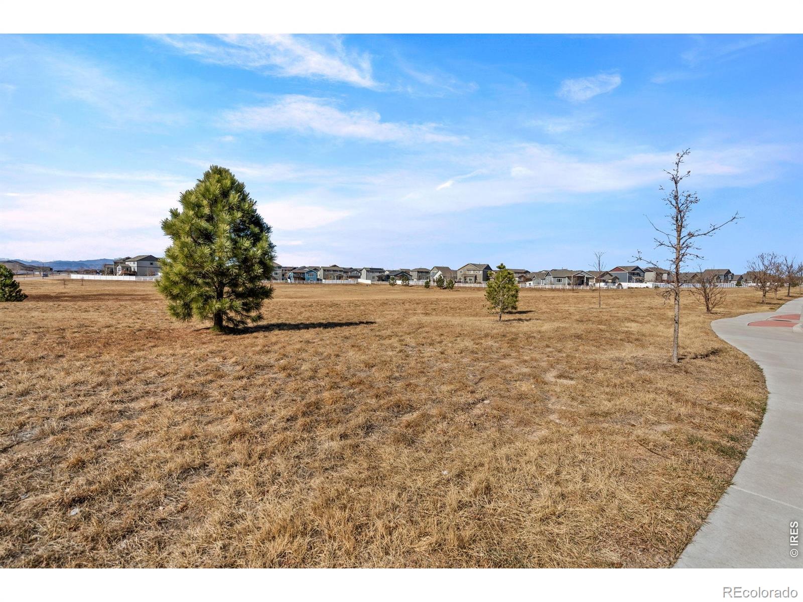 5599 Clarence Drive Windsor CO 80550