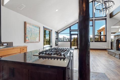 160 N Fuller Placer Road Breckenridge CO 80424