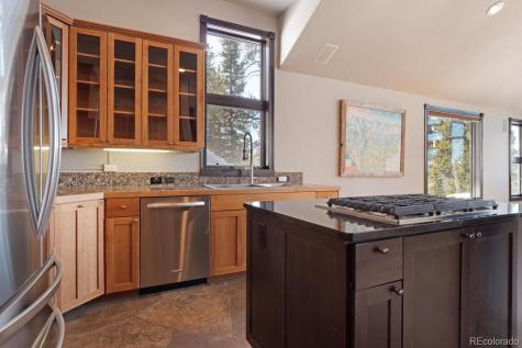 160 N Fuller Placer Road Breckenridge CO 80424