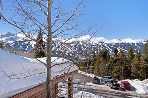 160 N Fuller Placer Road Breckenridge CO 80424