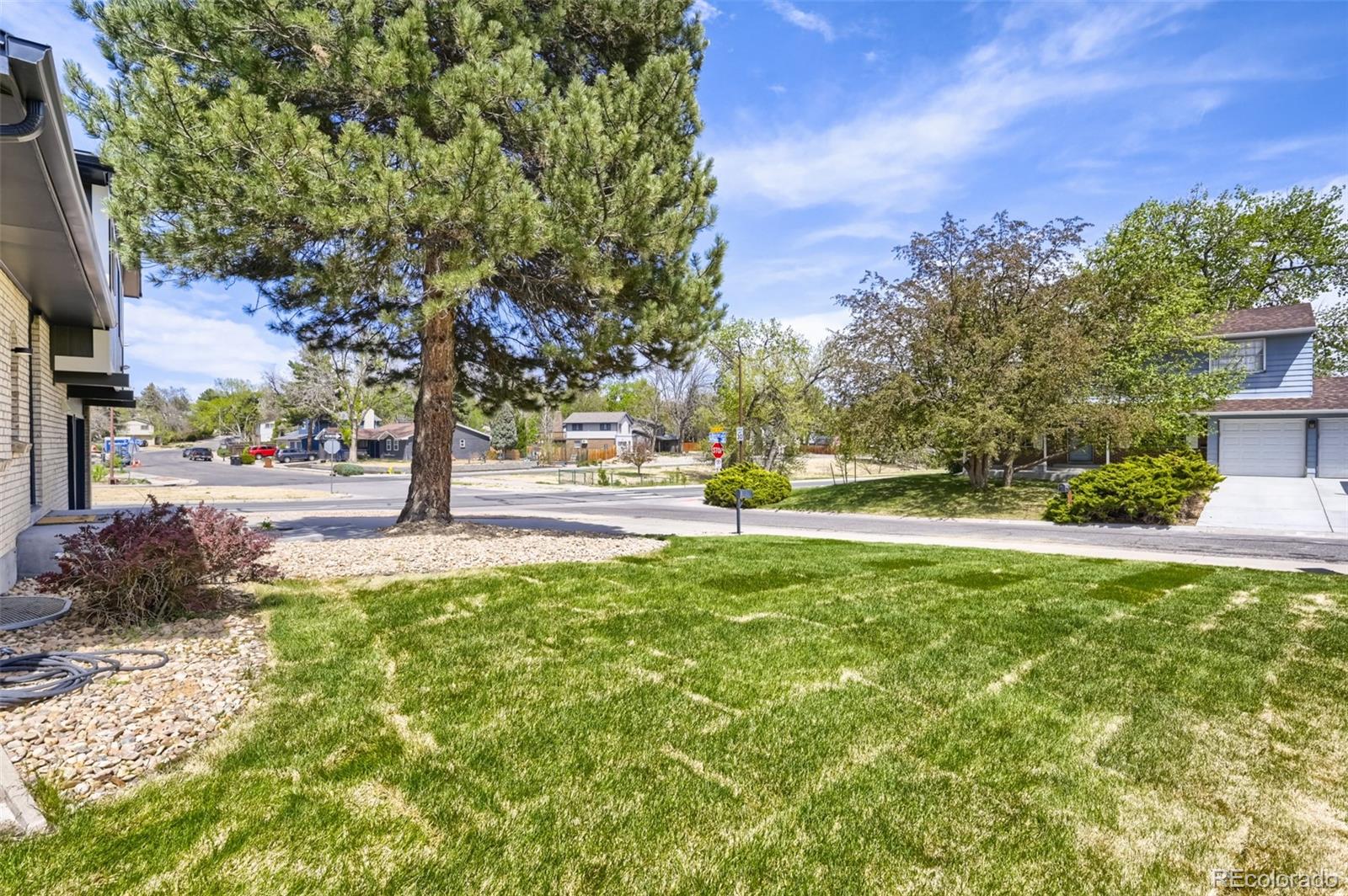 8199 Webster Street Arvada CO 80003