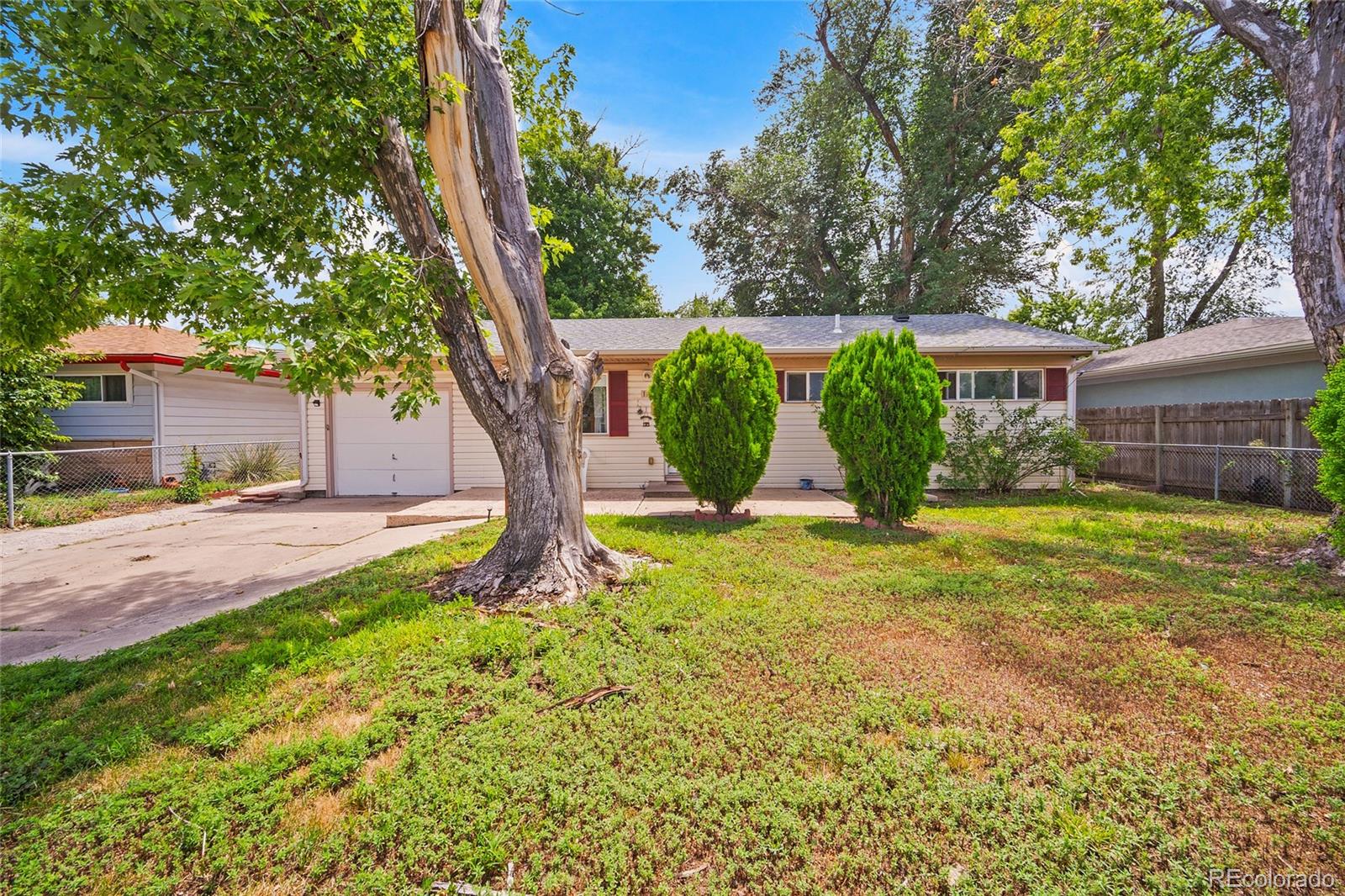 105 Larch Drive Colorado Springs CO 80911