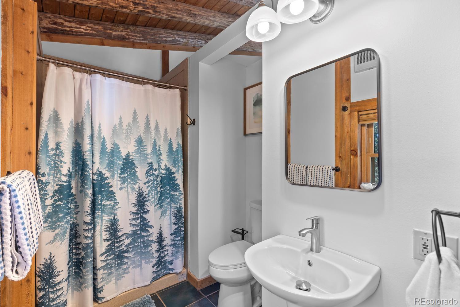 77 Gigi Lane Evergreen CO 80439