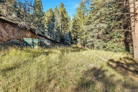 13550 S Foxton Road Conifer CO 80433