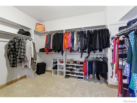 8295 Avalon Court Windsor CO 80528