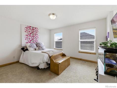 8295 Avalon Court Windsor CO 80528