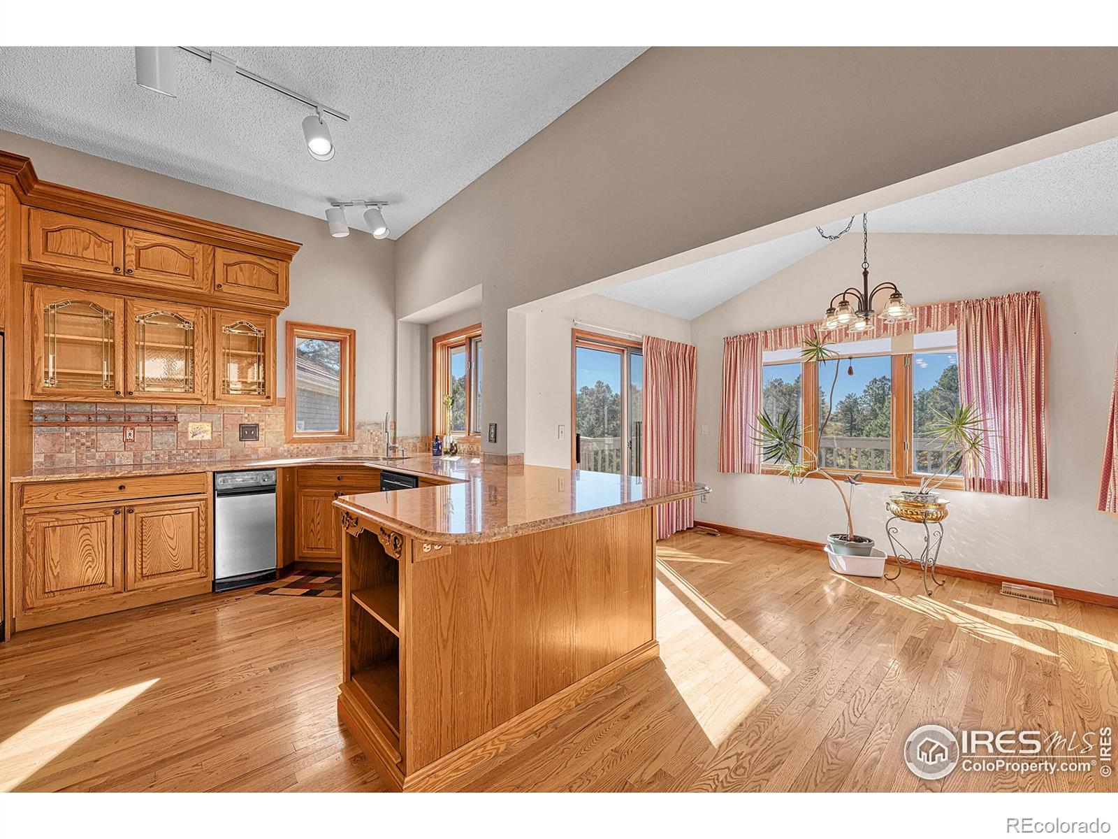 5953 Angie Court Parker CO 80134