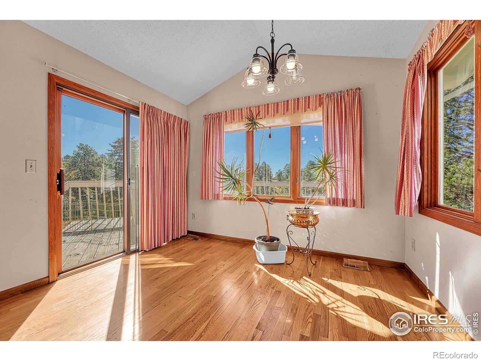 5953 Angie Court Parker CO 80134