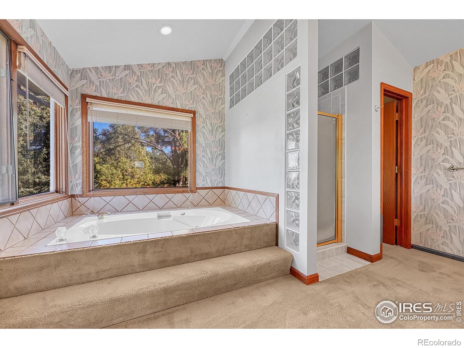 5953 Angie Court Parker CO 80134