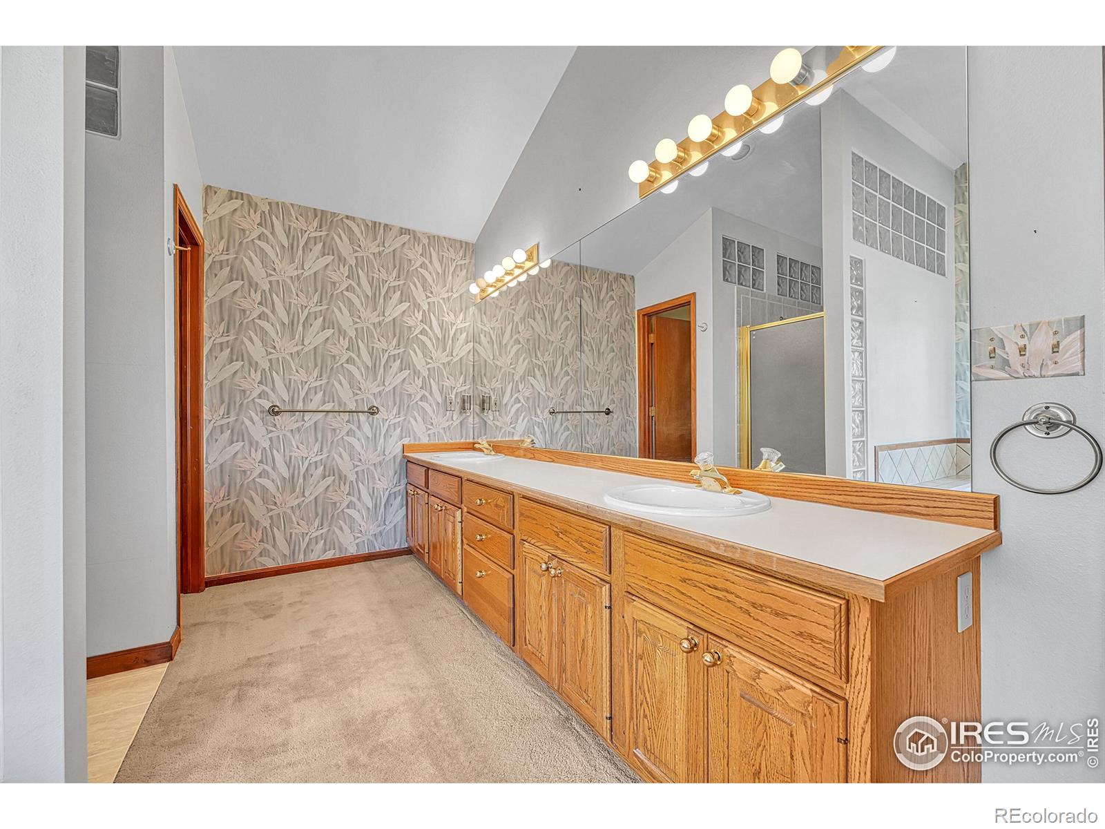 5953 Angie Court Parker CO 80134