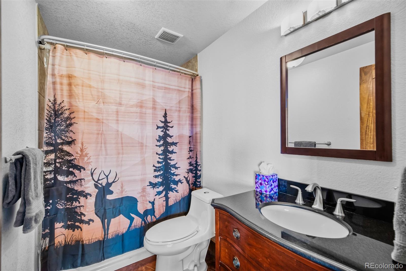 273 Bonell Drive Fairplay CO 80440
