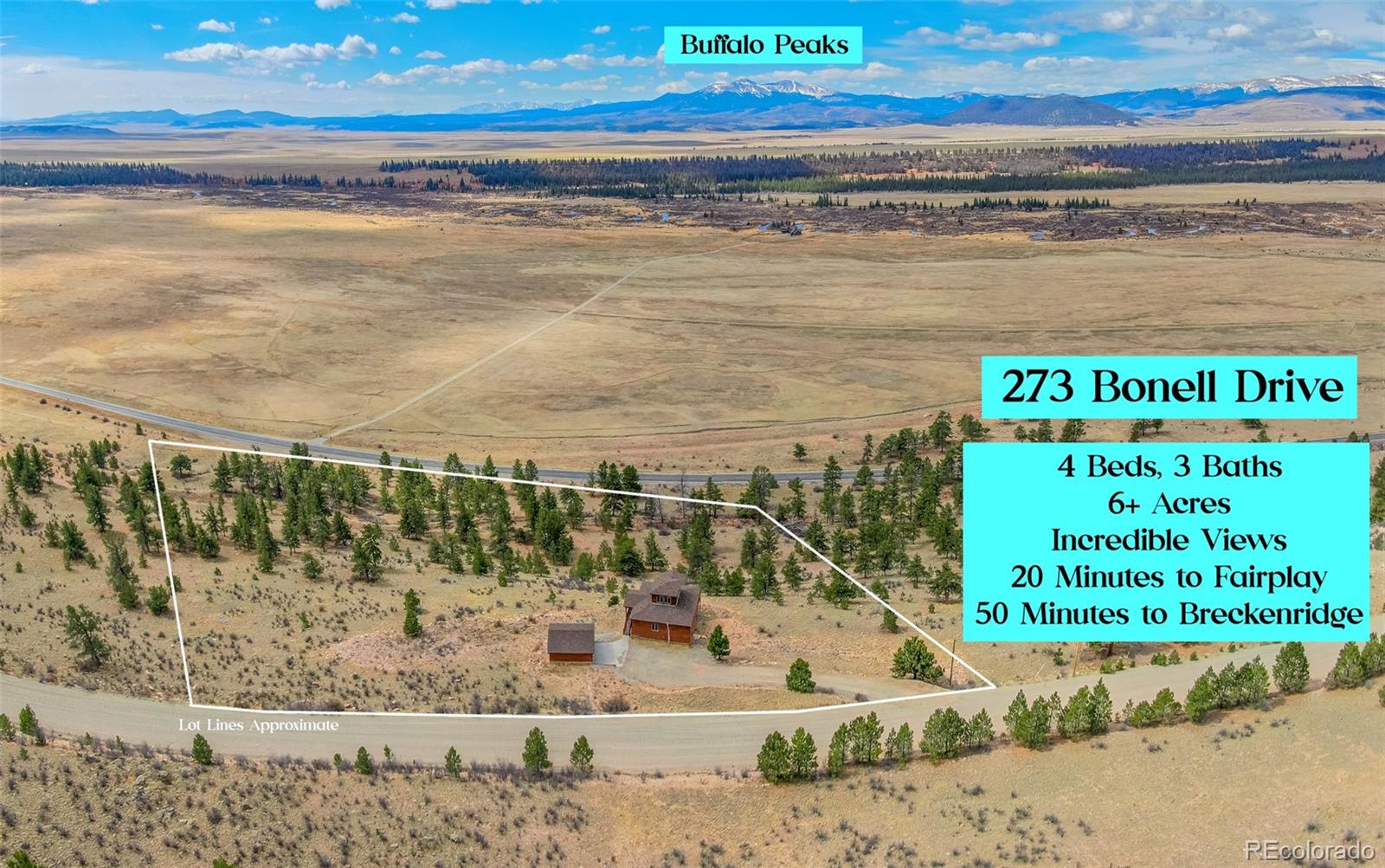 273 Bonell Drive Fairplay CO 80440