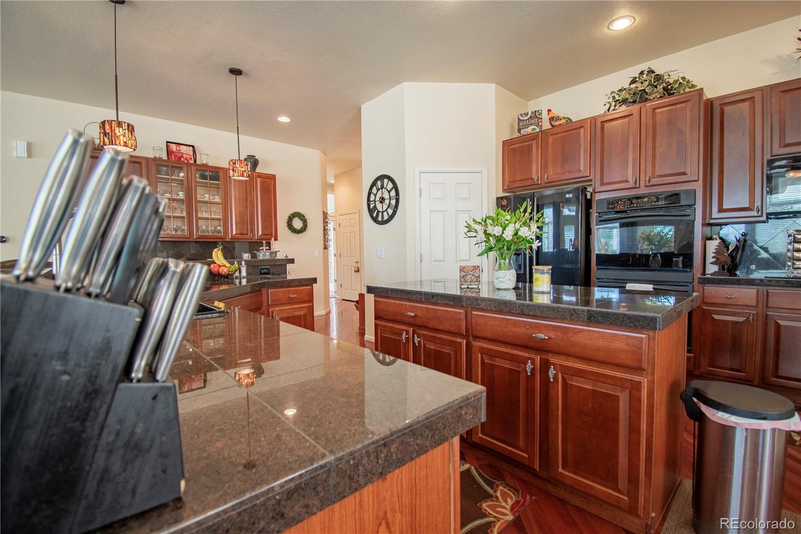 10496 Stable Lane Littleton CO 80125