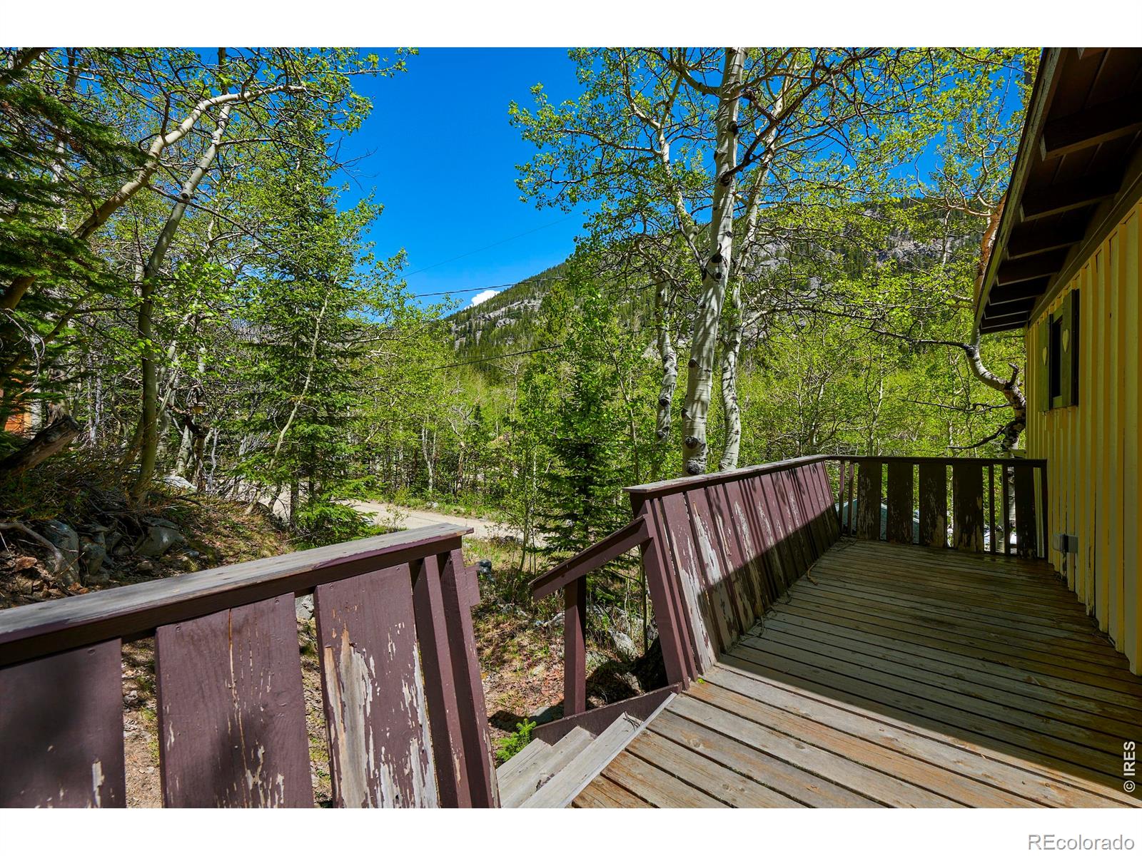 702 Bryan Avenue Nederland CO 80466