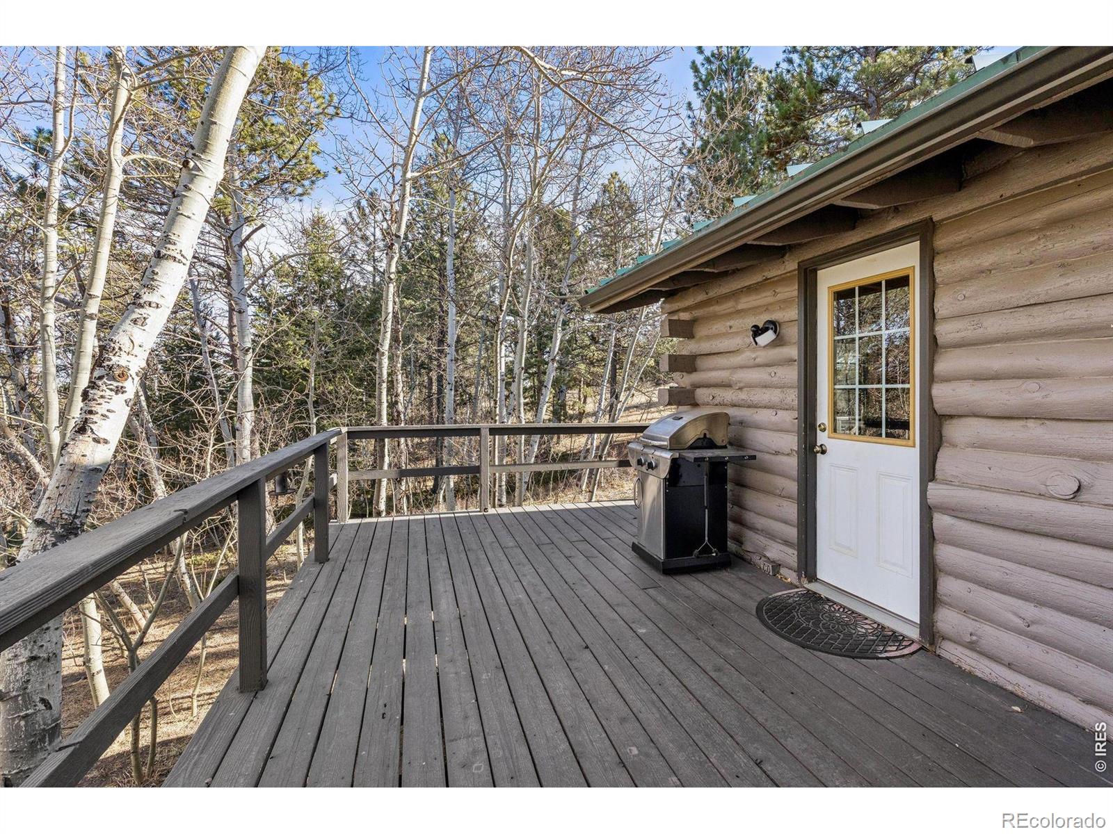 150 Mount Fisher Court Livermore CO 80536