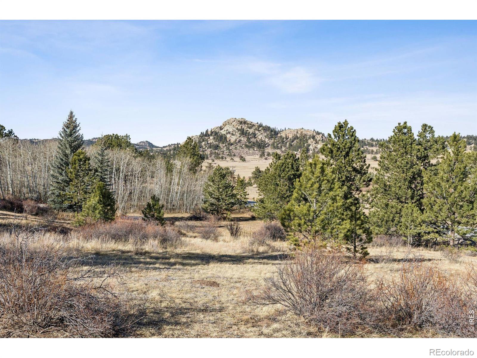 150 Mount Fisher Court Livermore CO 80536