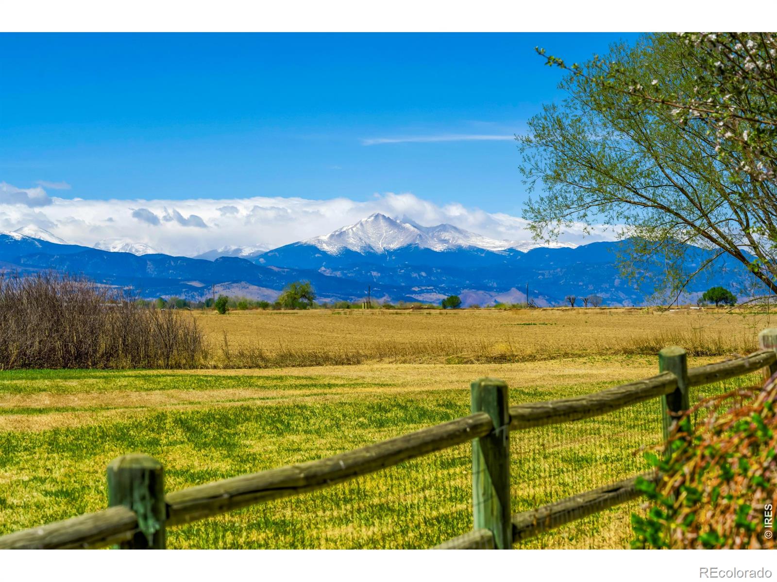 11693 Montgomery Circle Longmont CO 80504