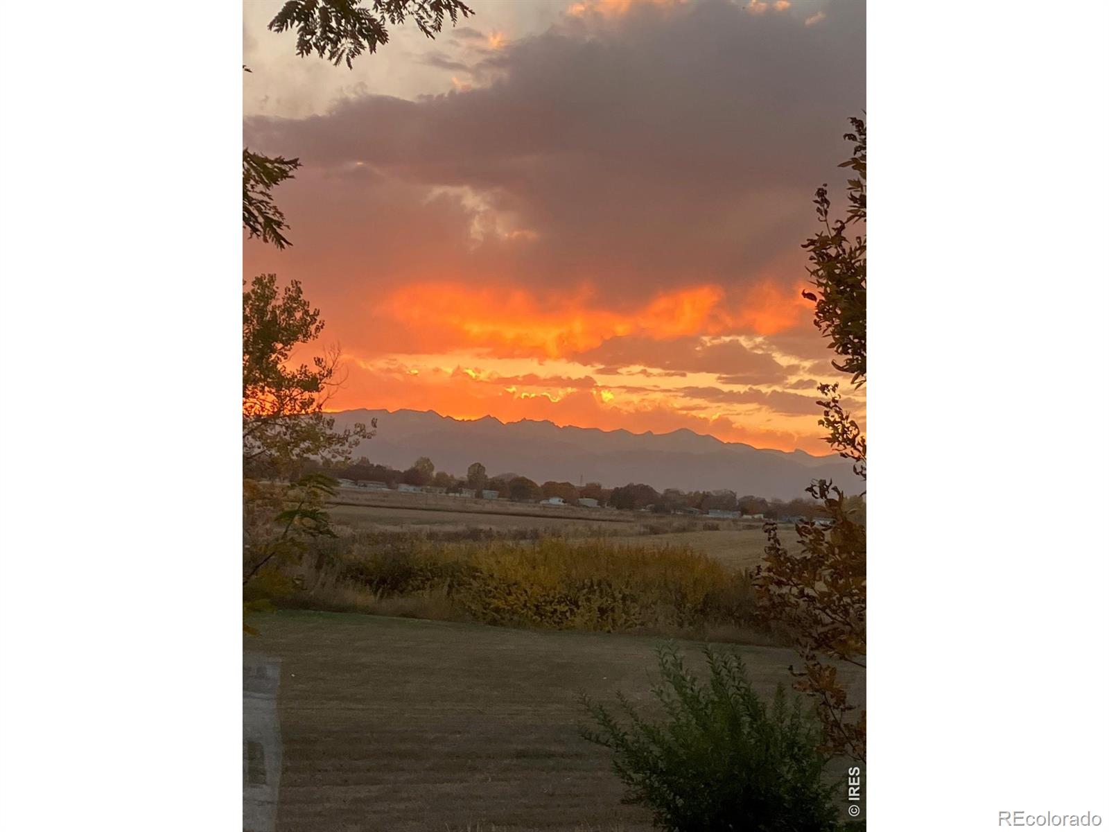 11693 Montgomery Circle Longmont CO 80504