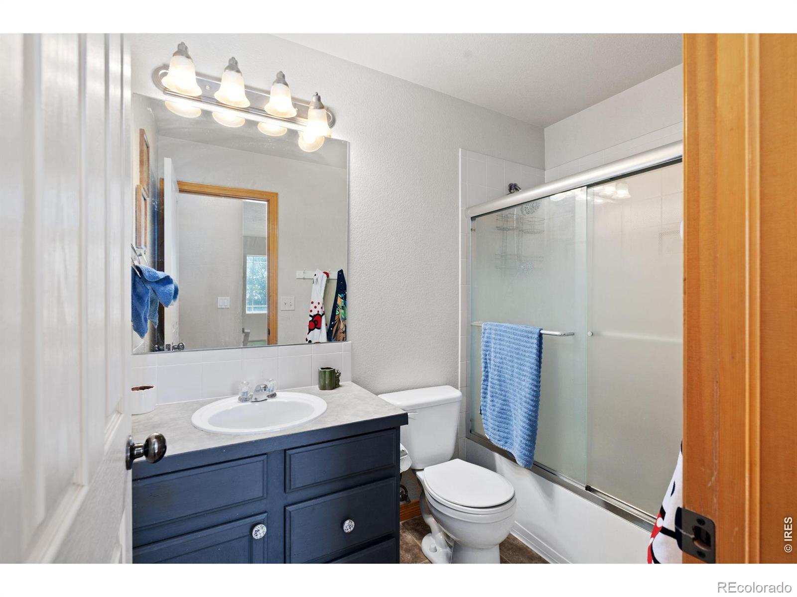 3208 Iron Horse Way Wellington CO 80549