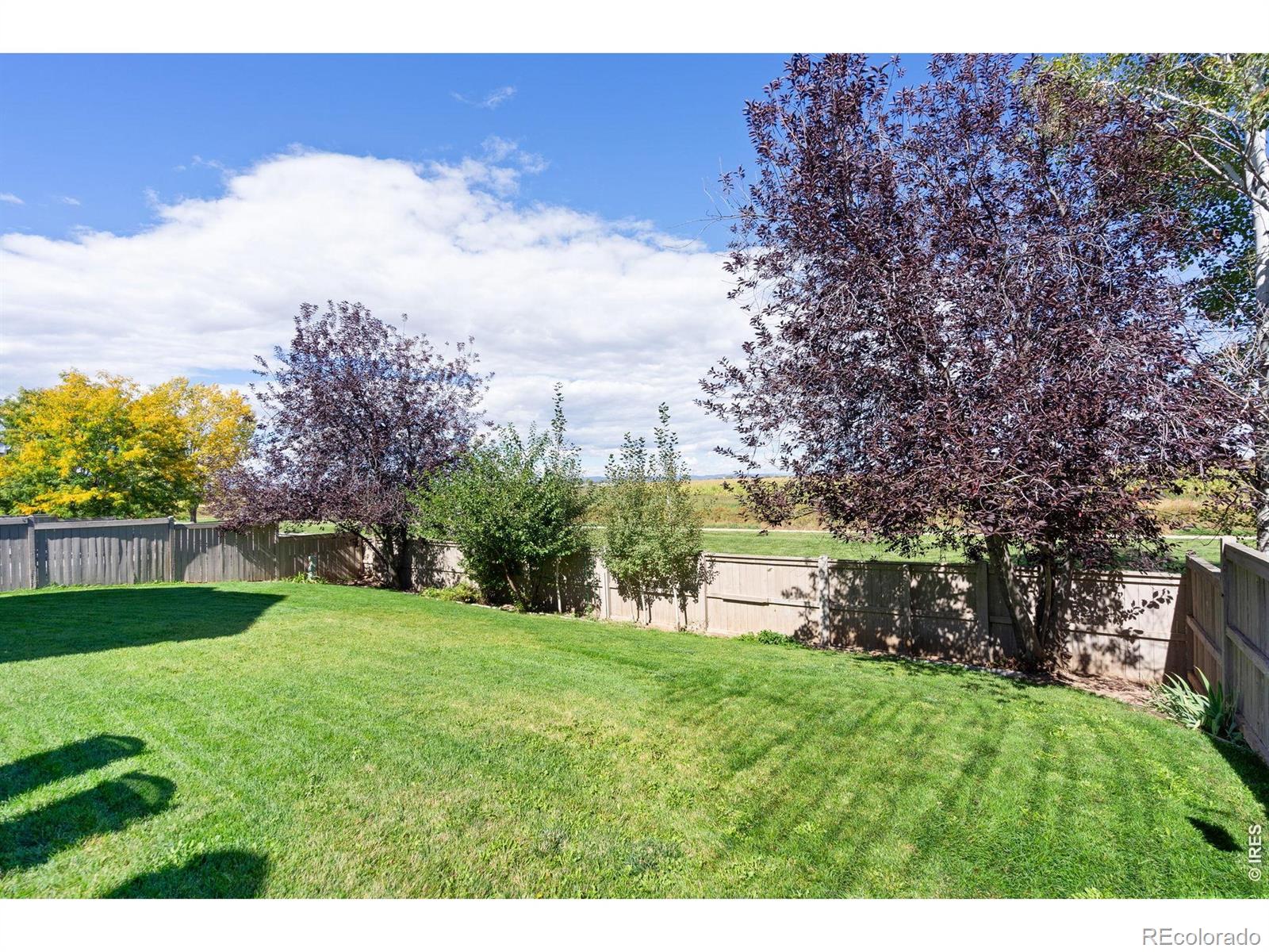 3208 Iron Horse Way Wellington CO 80549