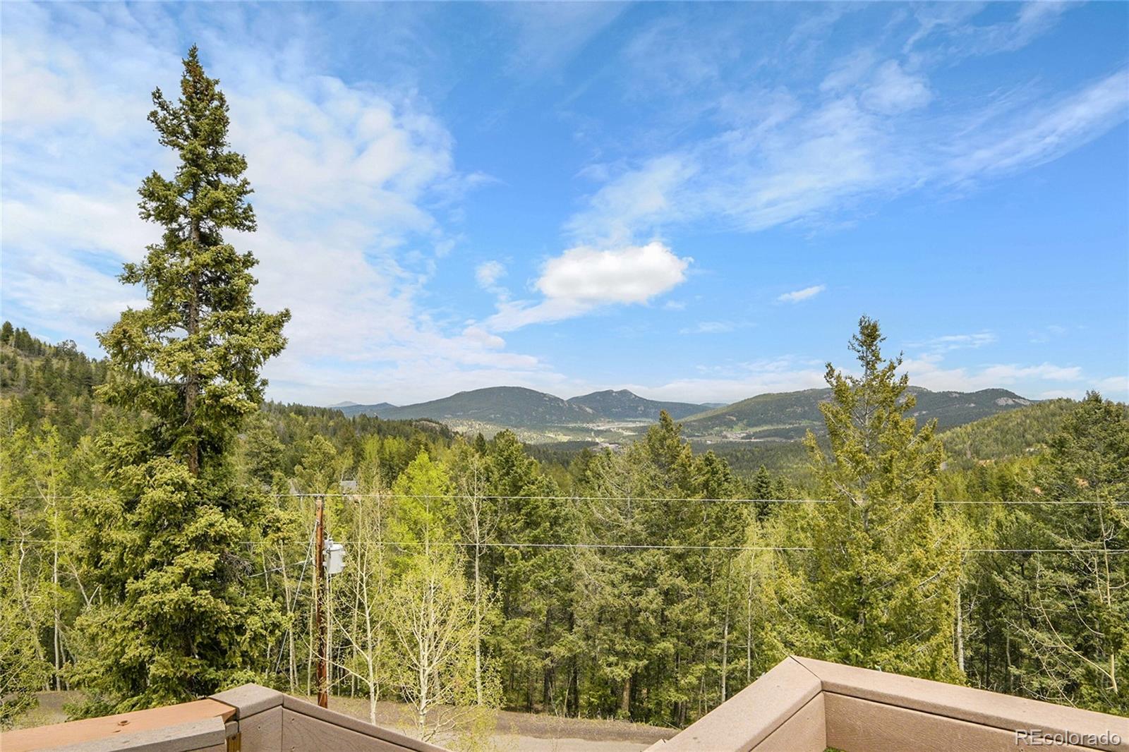 30382 Marys Drive Conifer CO 80433