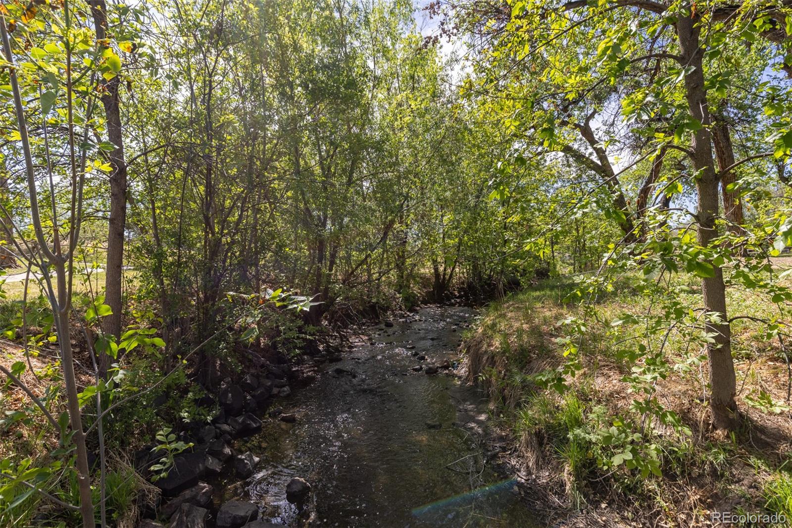 6110 Brooks Drive Arvada CO 80004