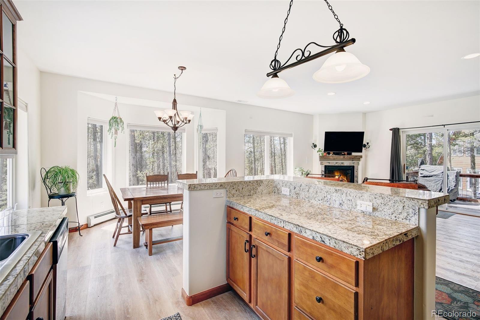 148 Imogene Circle Leadville CO 80461