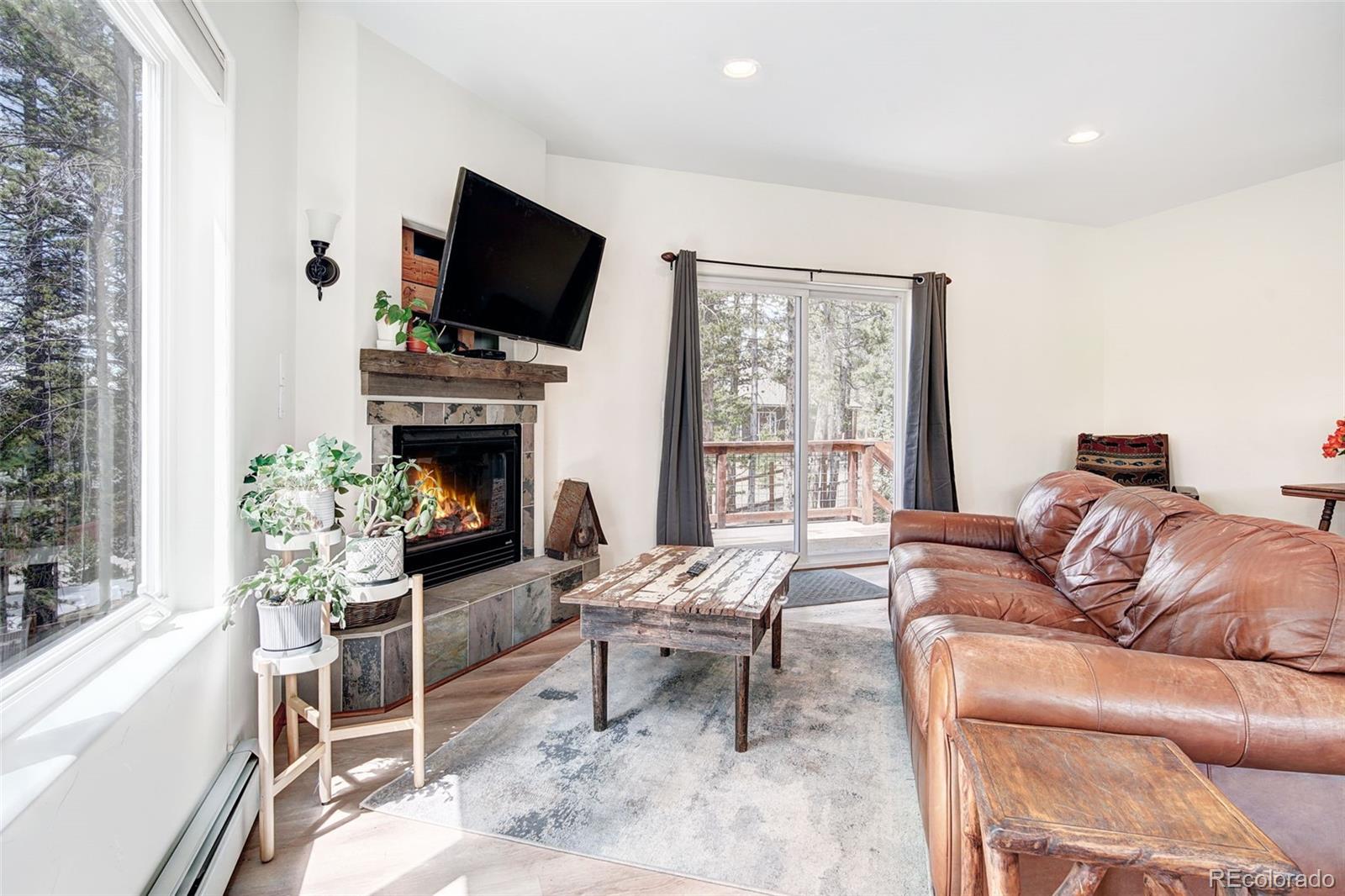 148 Imogene Circle Leadville CO 80461