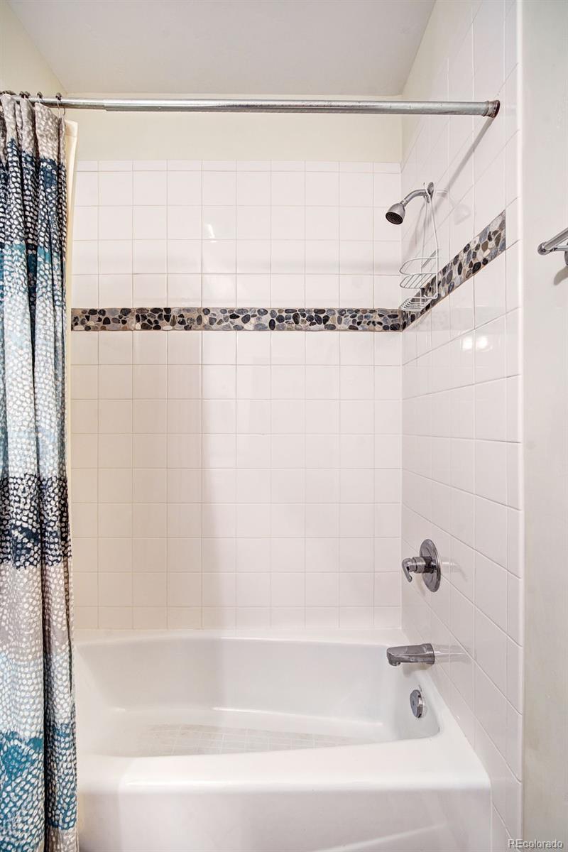 148 Imogene Circle Leadville CO 80461