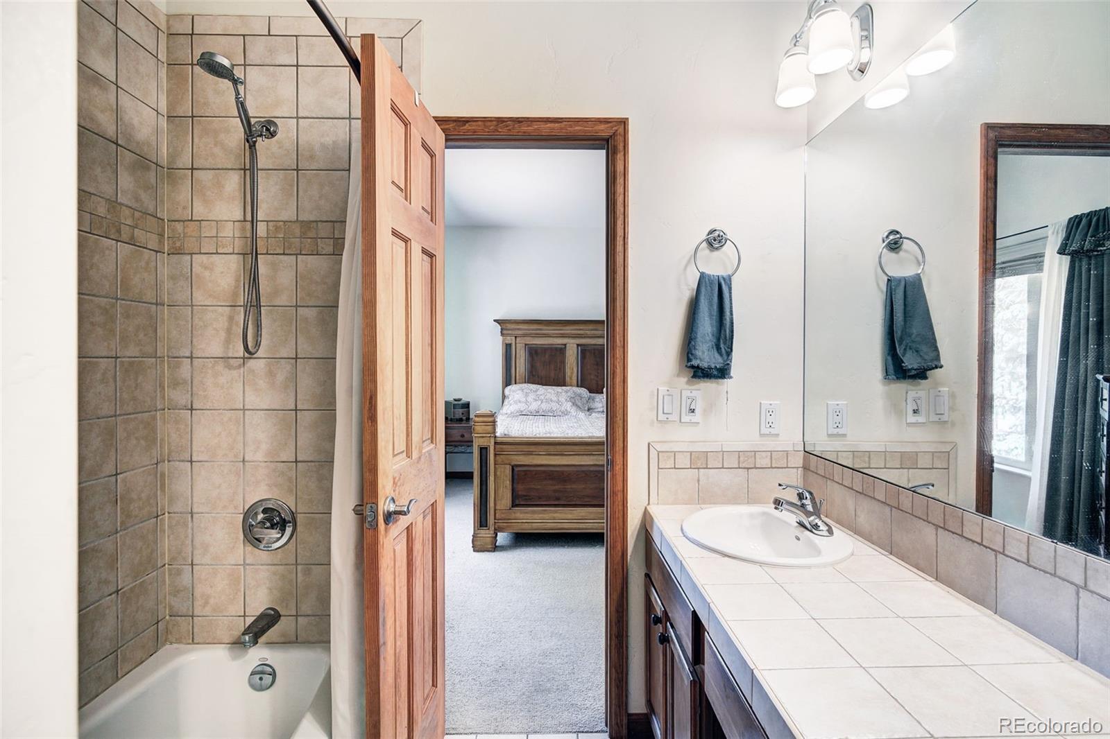 148 Imogene Circle Leadville CO 80461