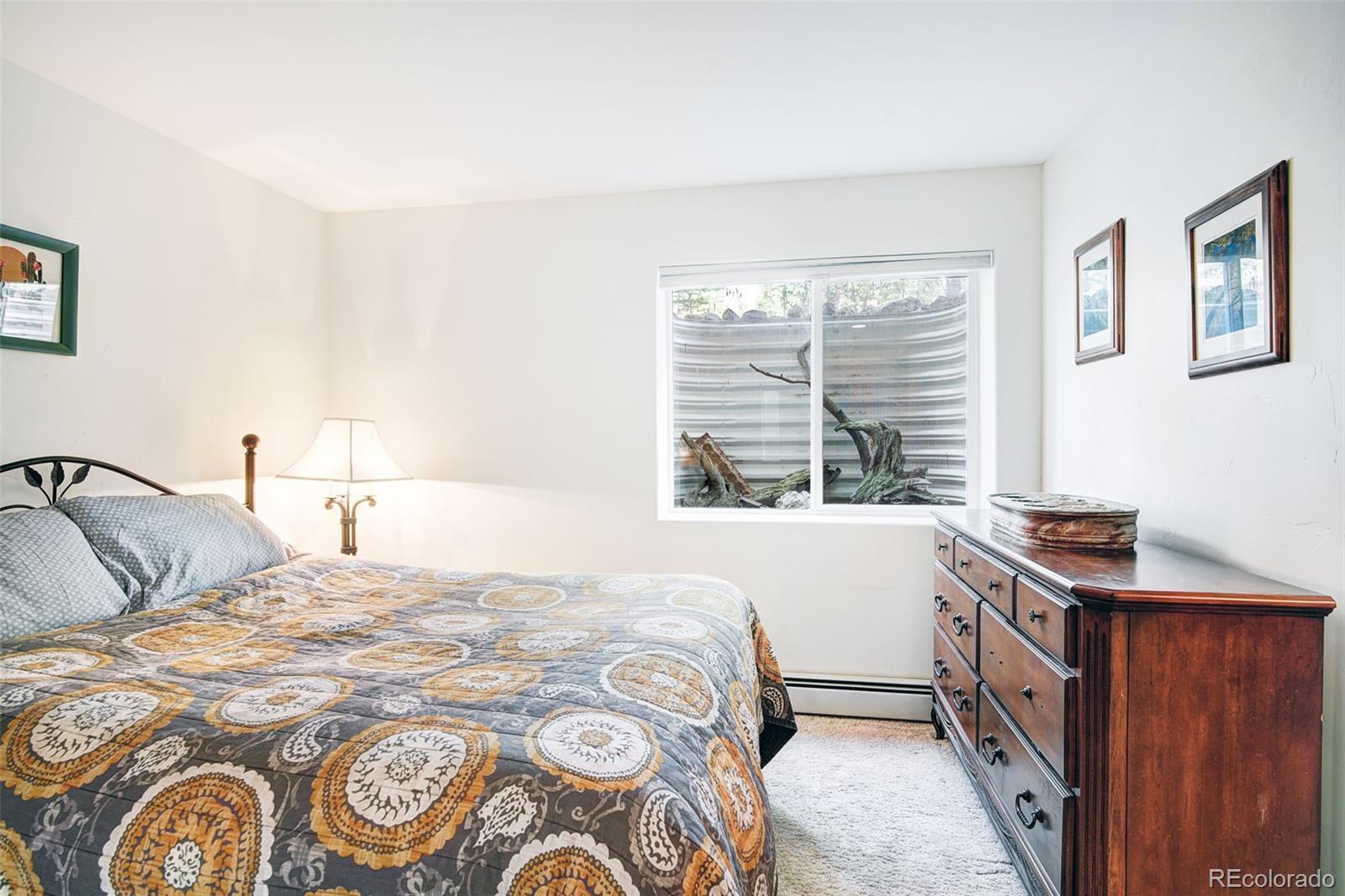 148 Imogene Circle Leadville CO 80461
