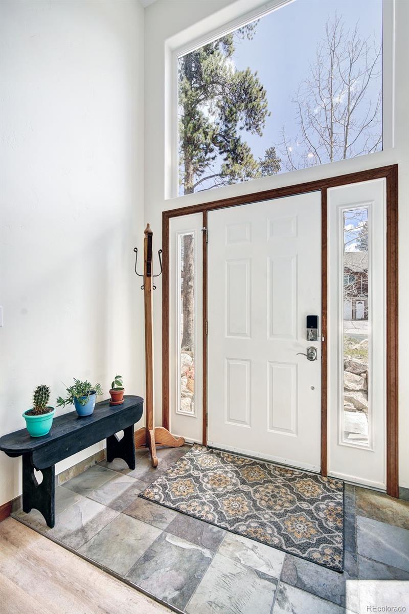 148 Imogene Circle Leadville CO 80461