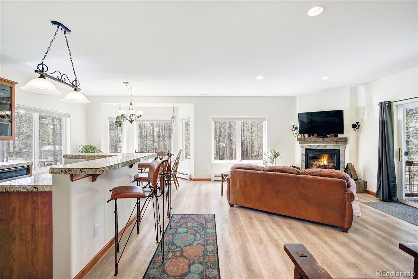 148 Imogene Circle Leadville CO 80461