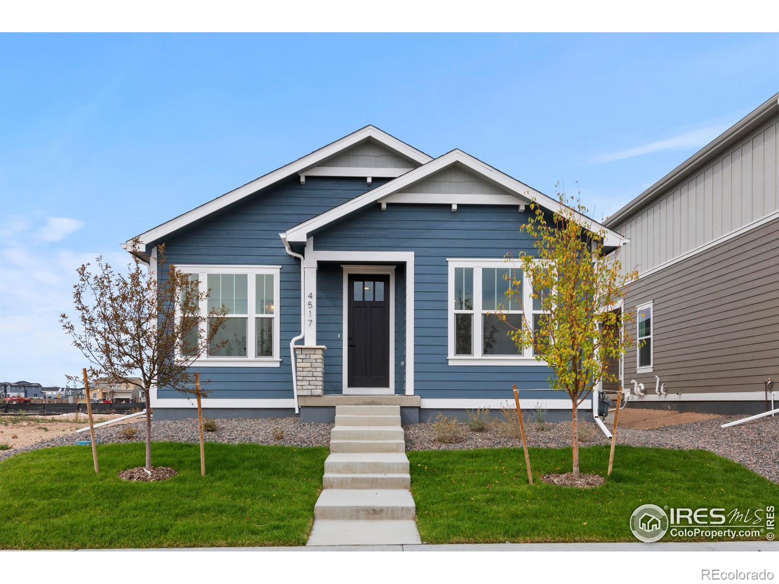 4517 Parkline Street Timnath CO 80547